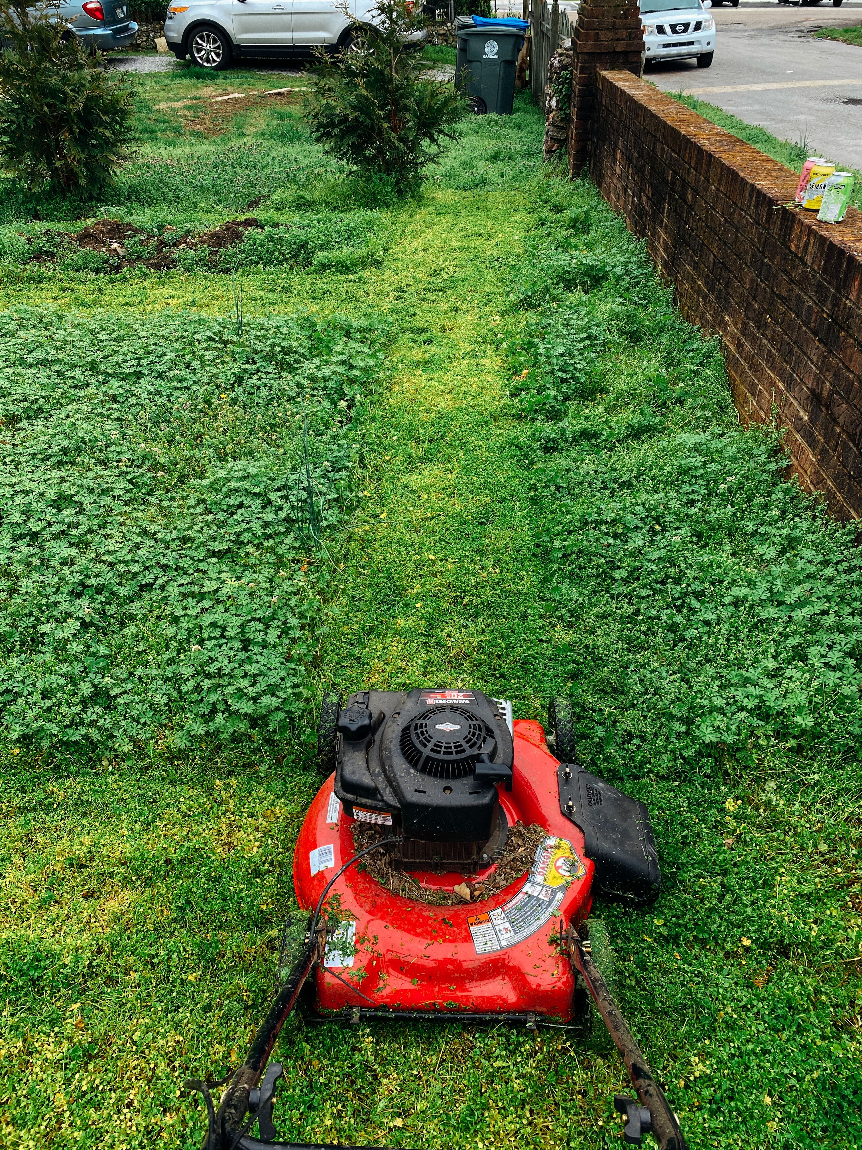 A local teenager mowing a suburban lawn in the evening light