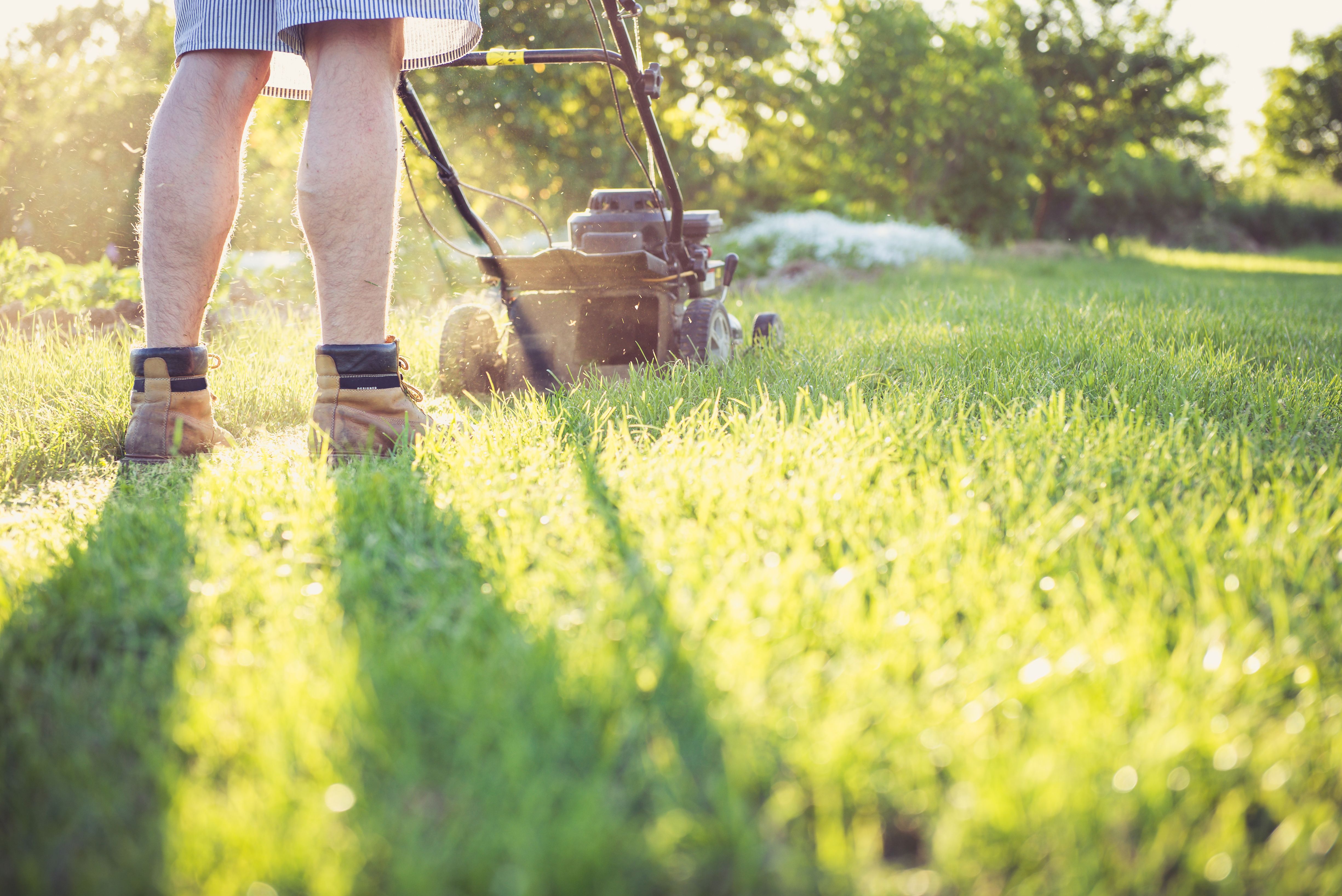 A high school student earning money with summer jobs in their neighborhood